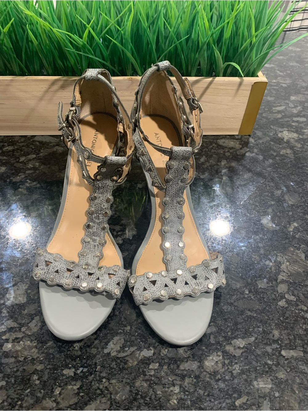 ANTONIO MELANI  canSilver Scalloped T-Strap Sandals